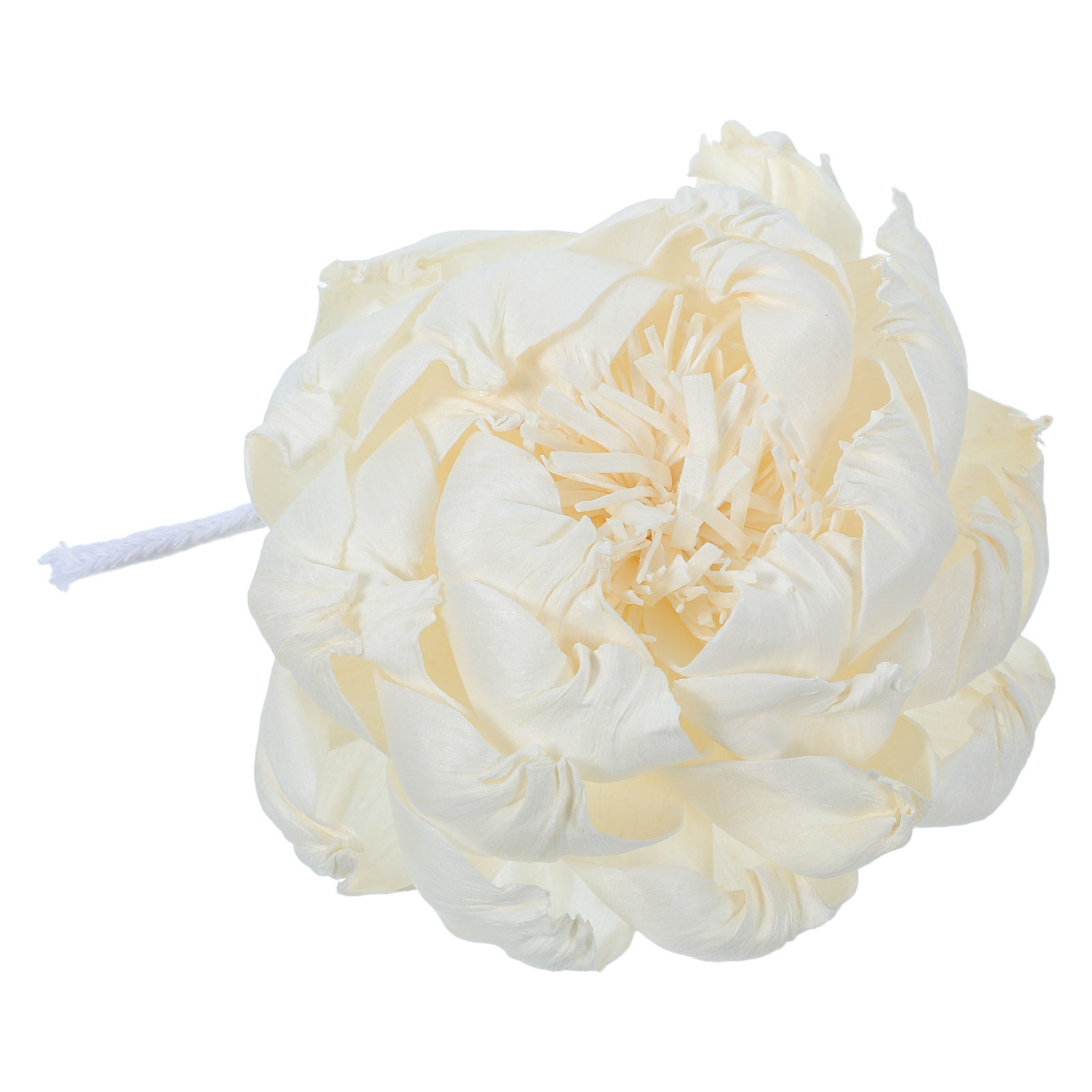 Peony Head Fragrance Diffuser  - Home Fragrance Aroma review and price
