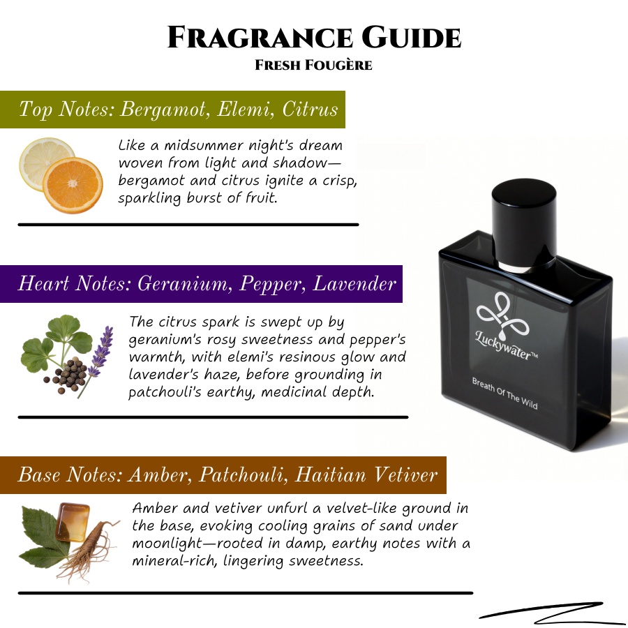 50ml Long-Lasting Cologne for  - Home Fragrance Business review and price