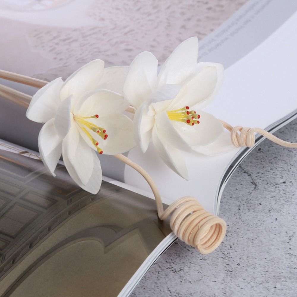 Multipurpose 5cm Natural Handm - Home Fragrance Diffuser Sticks review and price