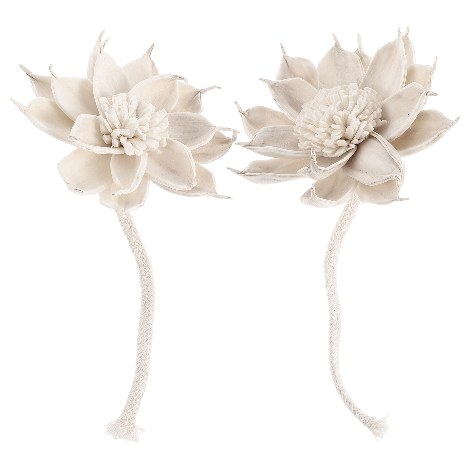 2Pcs Floral Aroma Diffuser Sti - Potpourri Dried Flower review and price