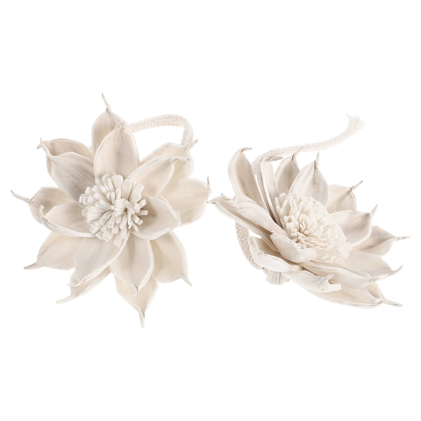 2Pcs Floral Aroma Diffuser Sti - Potpourri Dried Flower review and price
