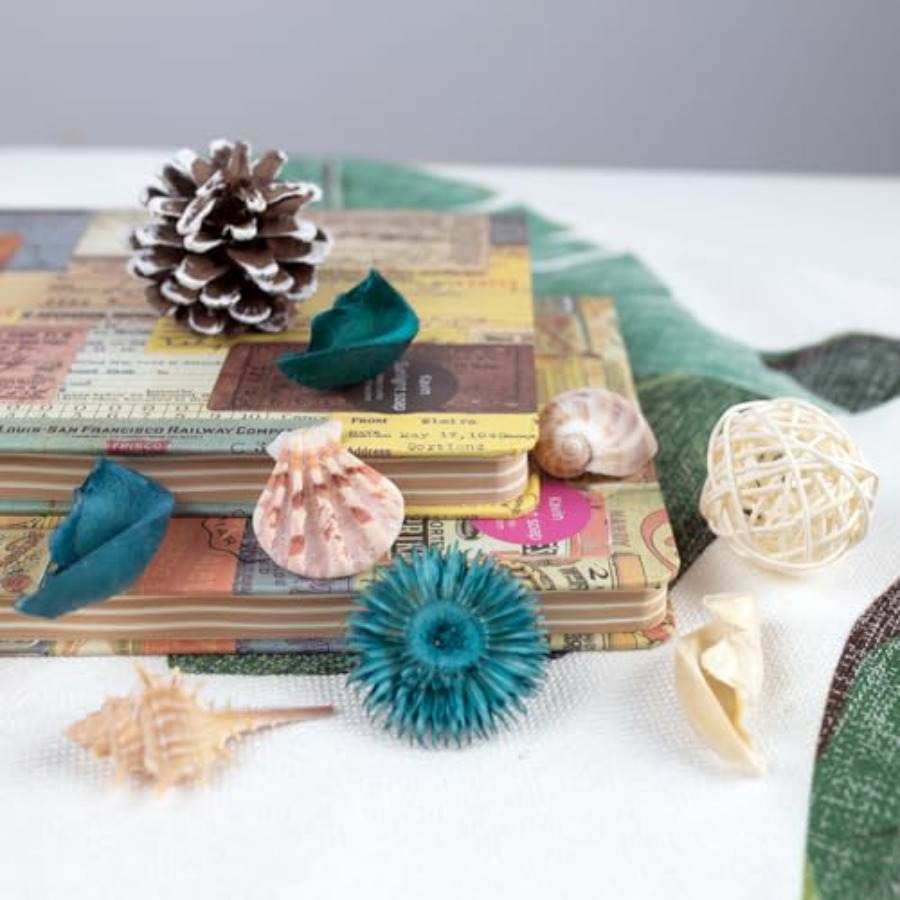 Sea Shell Potpourri Bag, Ocean - Potpourri Dried Flower review and price