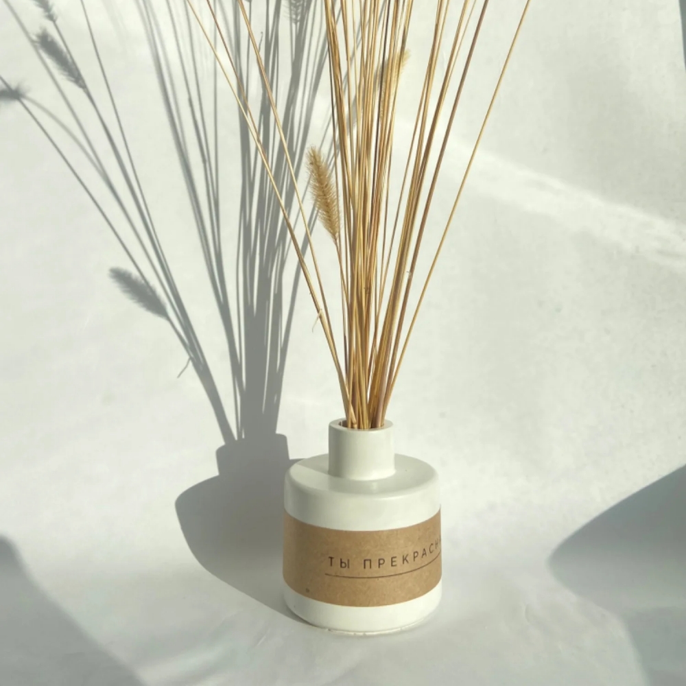 Fragrance Bottle Clay Silicone - Room Spray Bottle review and price
