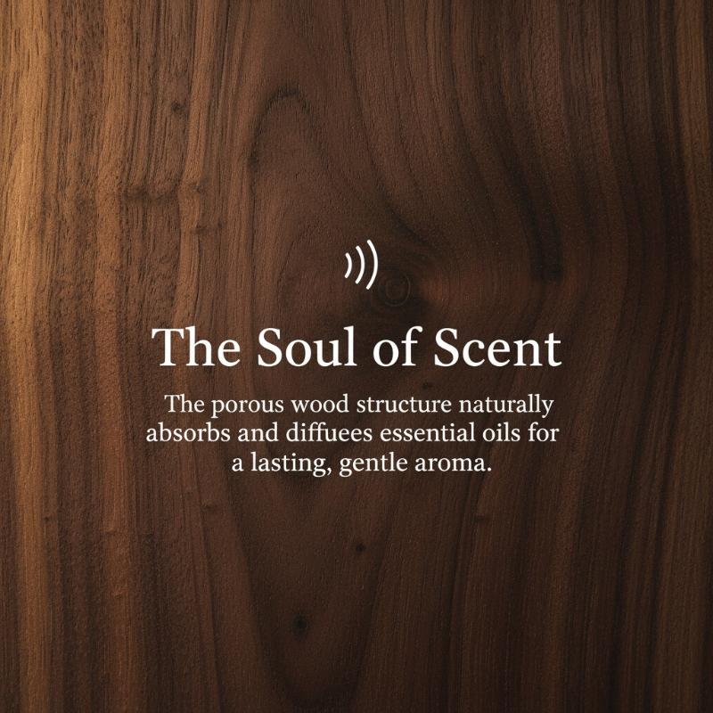 [E] 1/3 Set Of Wooden  Shaped  - Home Fragrance Potpourri review and price